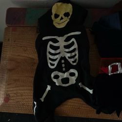 Halloween Doggy Costume  Free