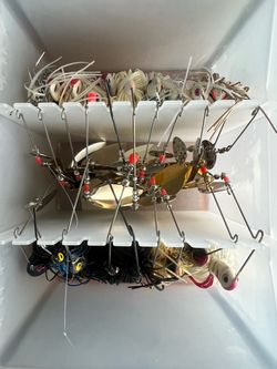 Spinnerbait multiple