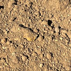 Fill Dirt