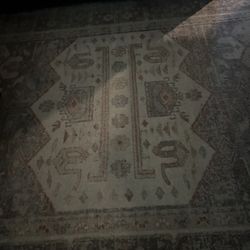 Area rug 10x12