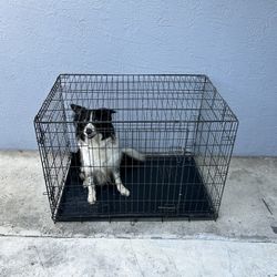 Folding Dog Cage Crate 