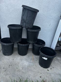 7 used 15 gall nursery plastic plant  pots $5 each