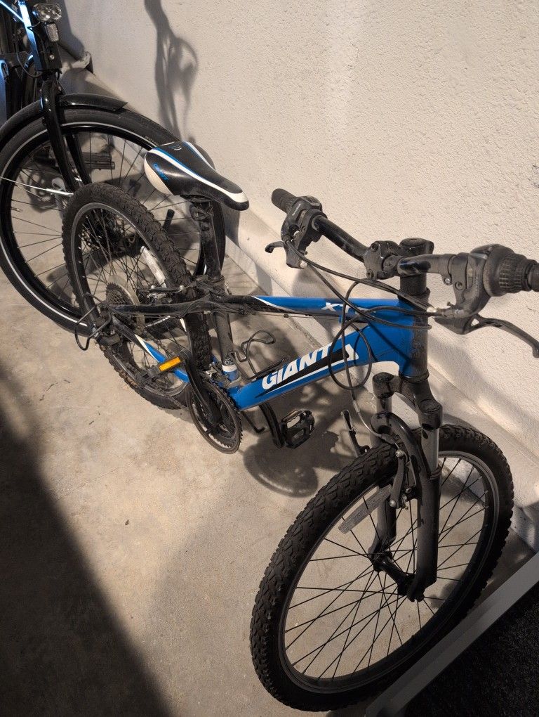XTC Giant Trail Bike 24"