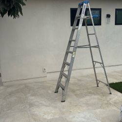 8 Feet Ladder 