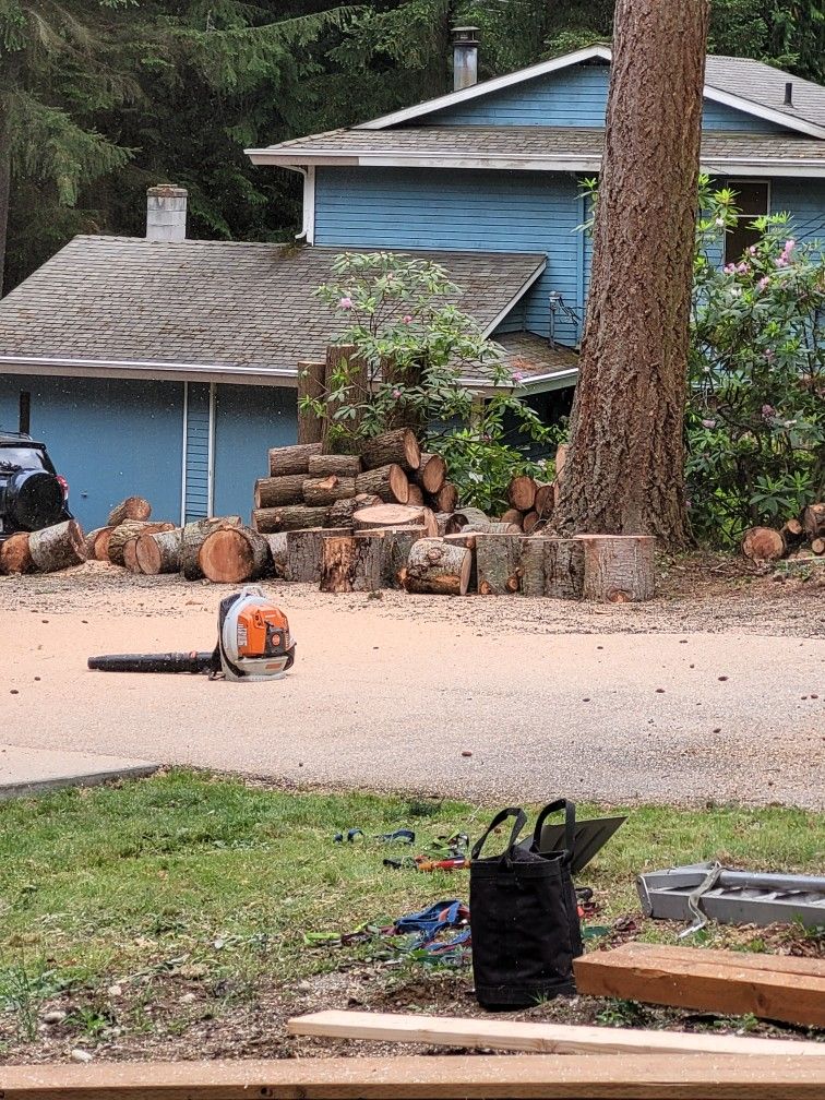 Free Firewood for Sale in Bothell, WA OfferUp