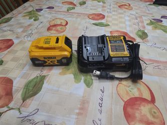 New Dewalt 20v 5ah XR battery with 4ah 2 stage charger, price firm