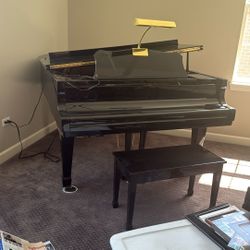 Bergman Baby Grand Piano Black Gloss