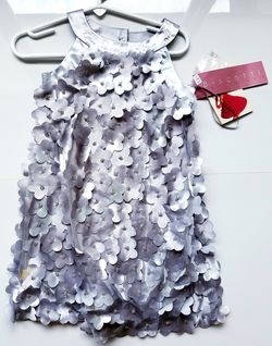 Biscotti Silver Flower Dress size 3T