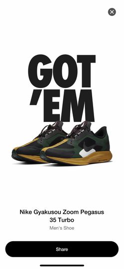 Gyakuso zoom Pegasus 35 turbo