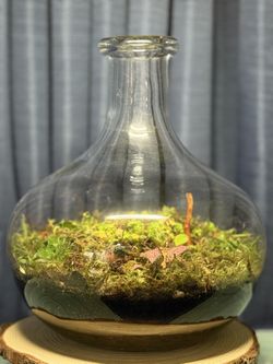 Blooming Biome