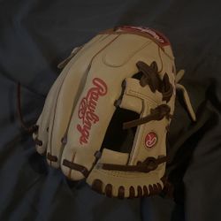 Rawling Gold Glove Series Baseball Glove