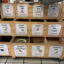 Bird food
