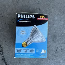 Light Bulbs