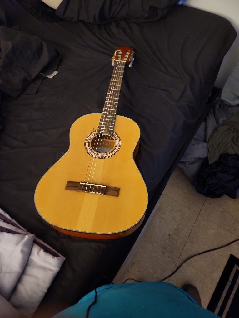 Guitar