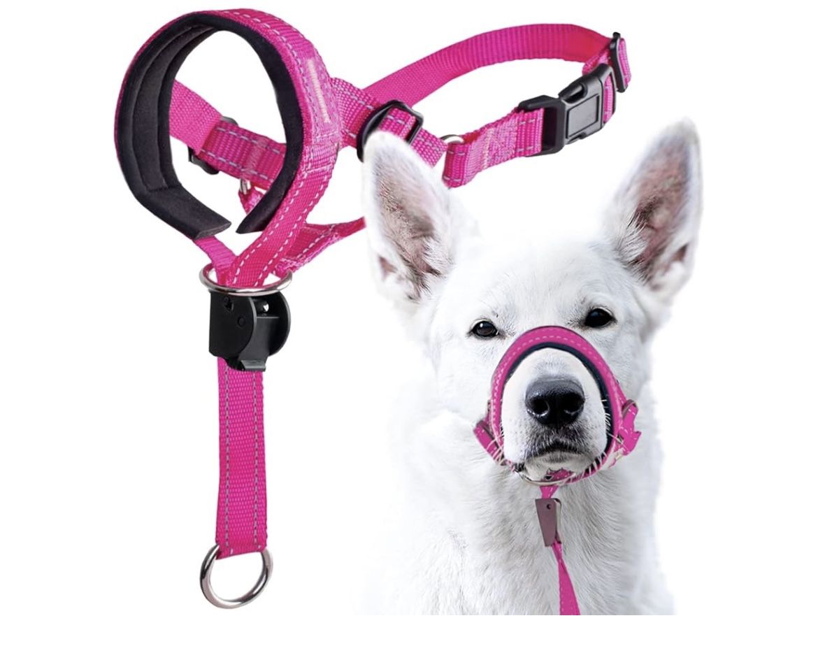 GoodBoy Dog Head Halter with Safety Strap