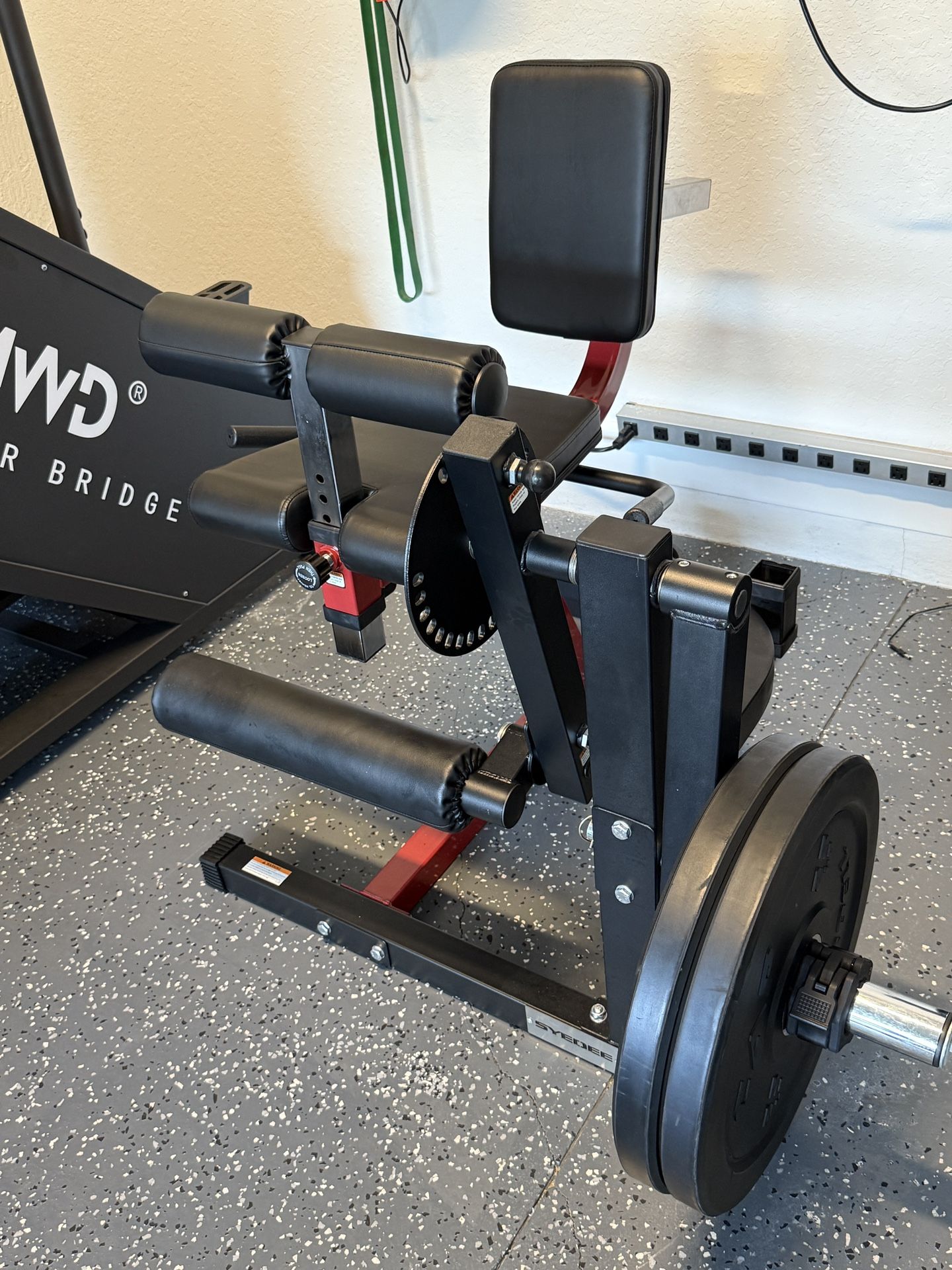 Leg Extensions / Hamstrings/ Abs Gym