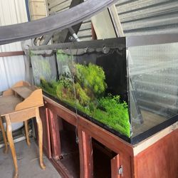 125 gallon Fish Tank