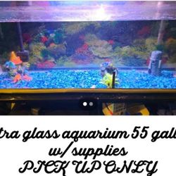 55 Gallon Fish Tank