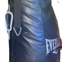Everlast Punching Bag 