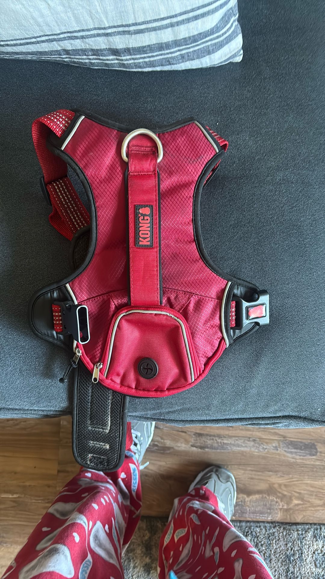Kong Walking Harness