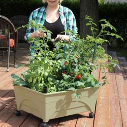 Raised garden beds - NEW in box! 