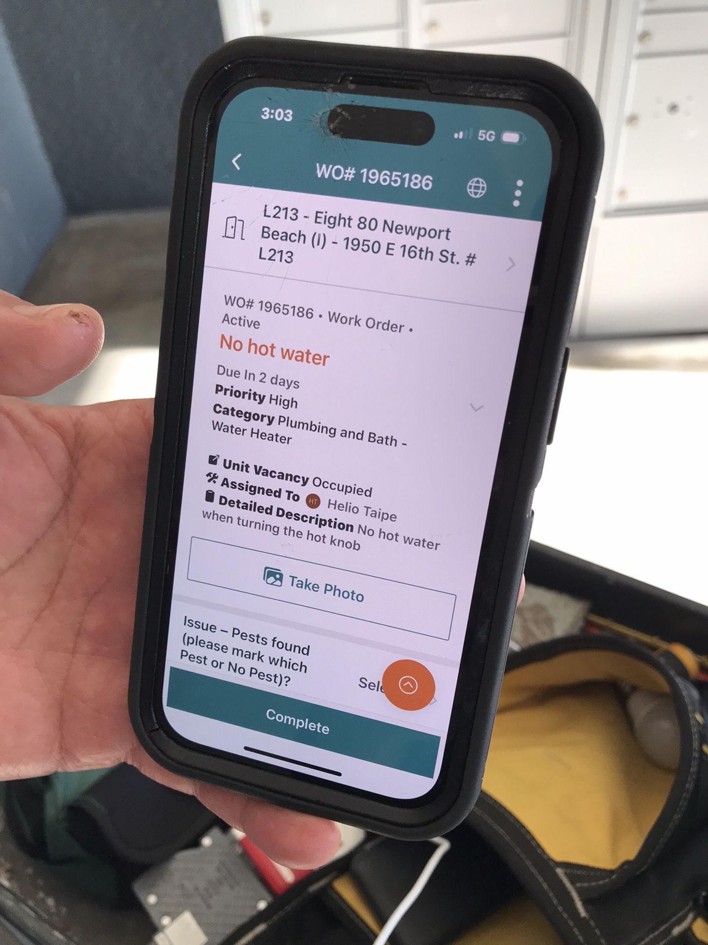 10ft Fiberglass Ladder