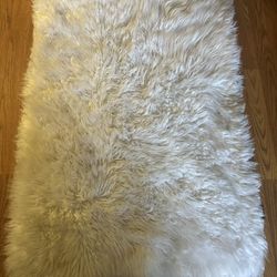 Beautiful Fur Rug 