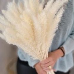 Tabletop Pampas Grass - Bleach White
