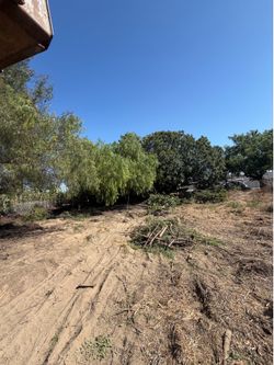 Tree trimming, demo & more ‼️‼️