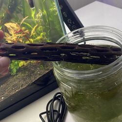 Fish Tank Log $5