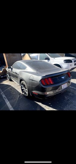 Mustang