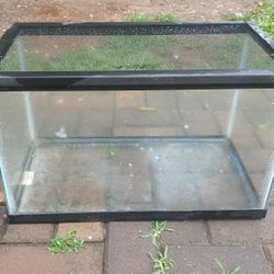 Small Aquarium For Sale 