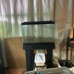 20 Gallon Fish Tank 
