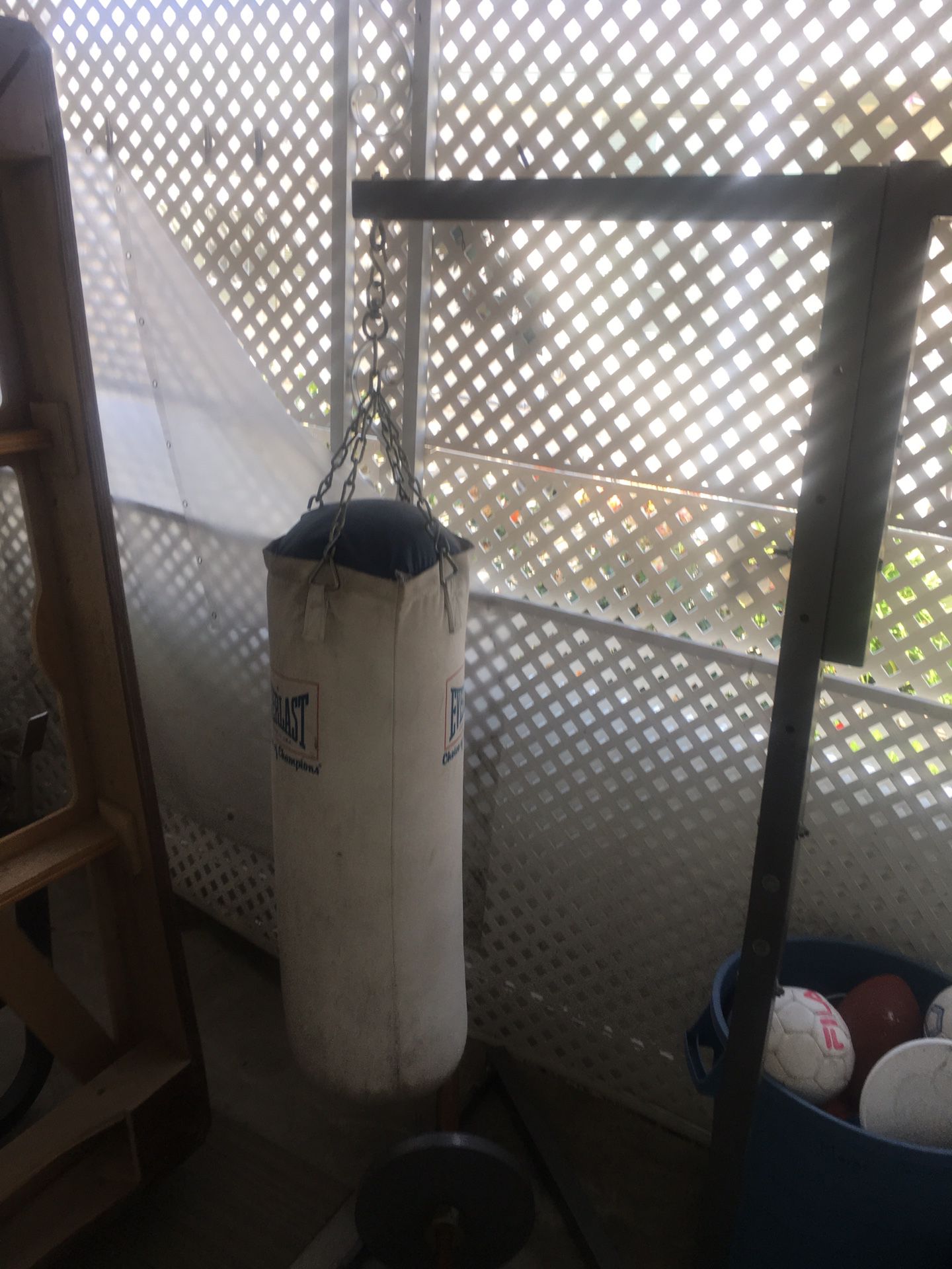 Heavy bag & speed bag with stand. In good condition.