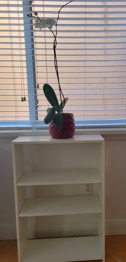 Super SALE for This NEW Bookshelf!!