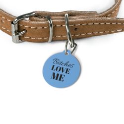 Funny & Stylish Dog ID Tag – “Bitches LOVE ME” – 1"