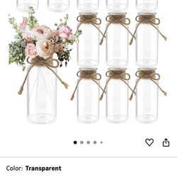 12 Transparent Plastic Vase