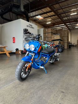 Maddog 150cc Honda Ruckus Clone Scooter | Gen 4 Street Legal