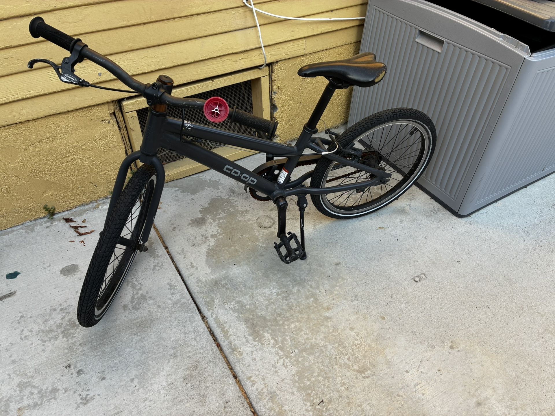 Rei Kids Bike 20”