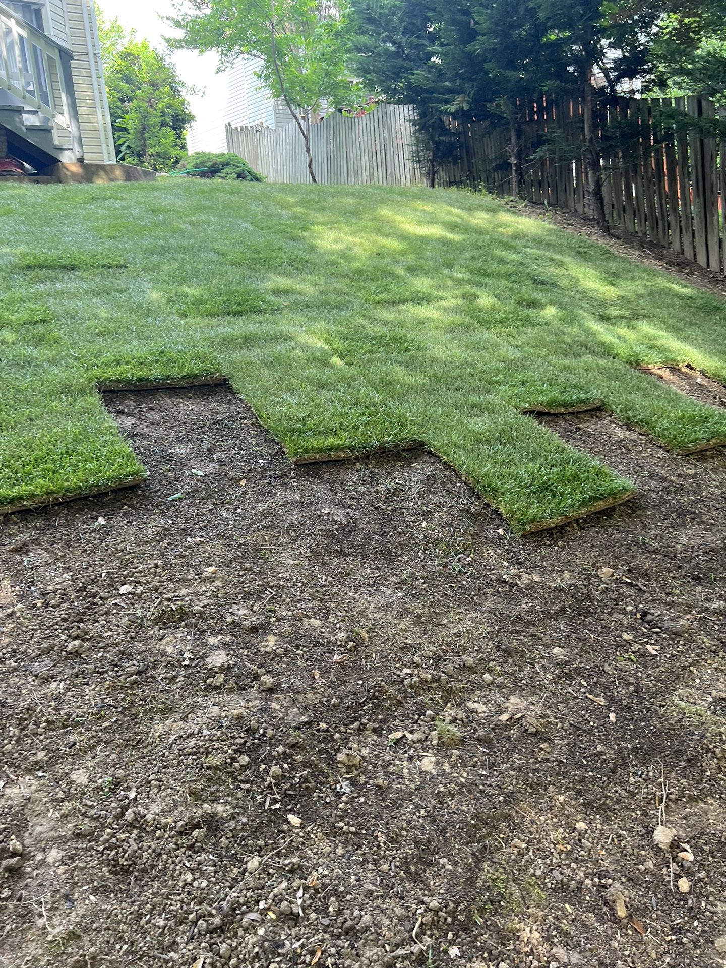 Fresh Sod
