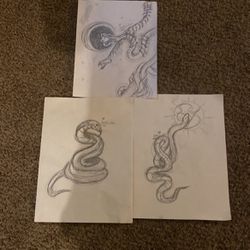 Snake Pencil Drawings