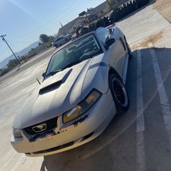 2001 Mustang GT V8