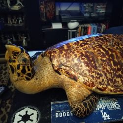 Decorative Turtle