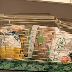 Bunny cage