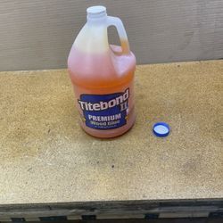 Wood Glue 1 Gallon
