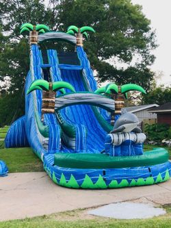 Dolphin Waterside