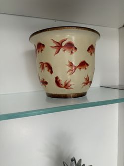 Goldfish Plant Pot