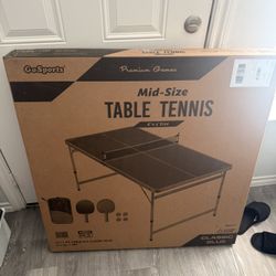 Ping Pong  Table