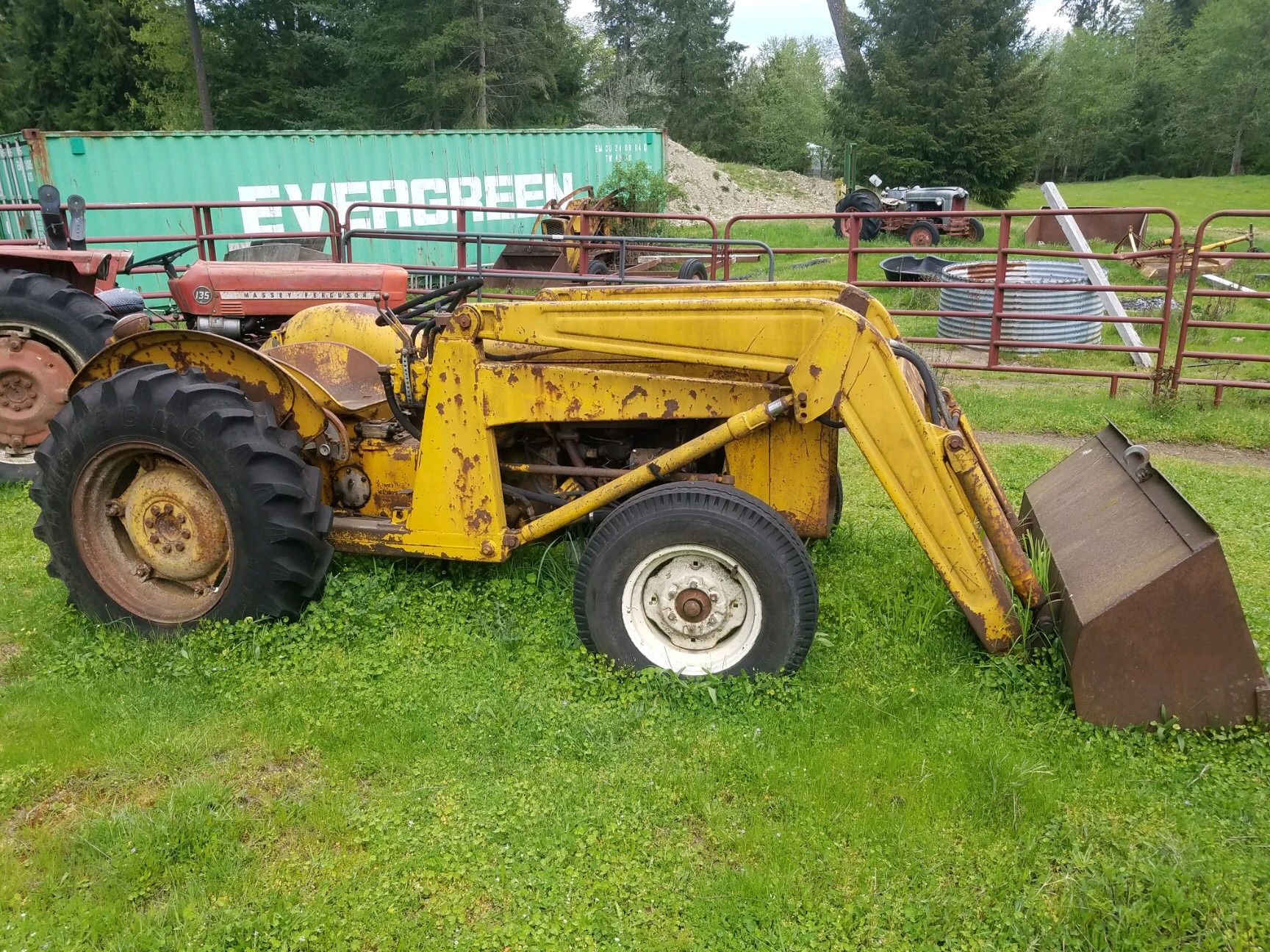 Massey Ferguson 202 Workbull Tractor