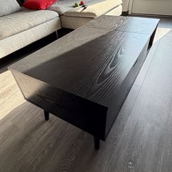 Coffee Table / Storage Chest (convertible)
